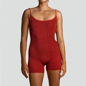Cleonie X Free People Movement Lakeshore swimsuit in Garnet one size